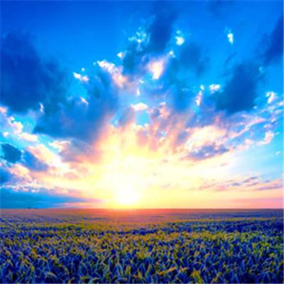 28圈游戏官网平台