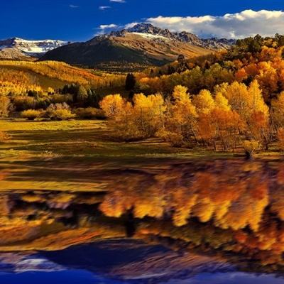 新天地棋牌下载手机版