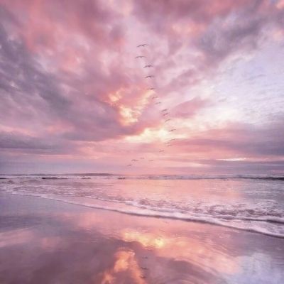 新天地棋牌下载手机版截图