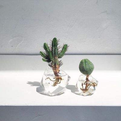 pg游戏麻将胡了网址