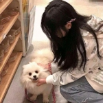 竞技宝app最新版本